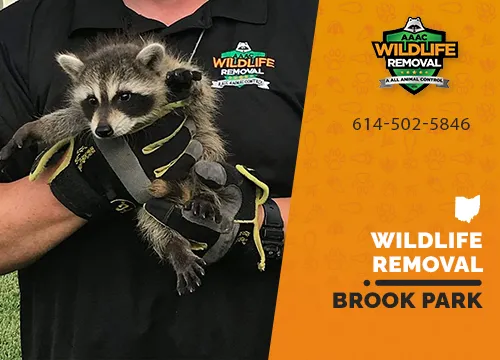 Brook Park Wildlife Removal professional removing pest animal
