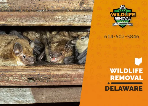 Delaware Wildlife Removal professional removing pest animal