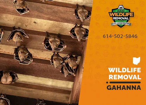 Gahanna Wildlife Removal professional removing pest animal