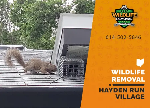 Hayden Run Village Wildlife Removal professional removing pest animal