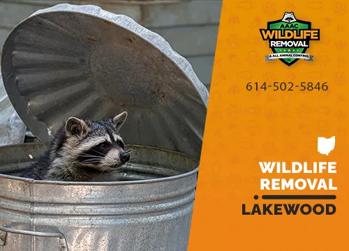 Lakewood Wildlife Removal professional removing pest animal