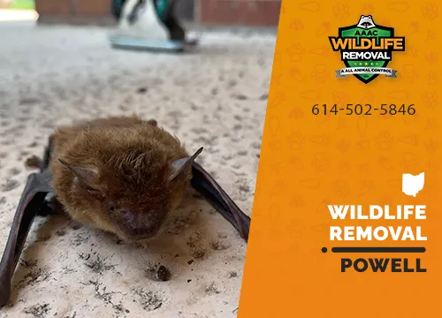 Powell Wildlife Removal professional removing pest animal