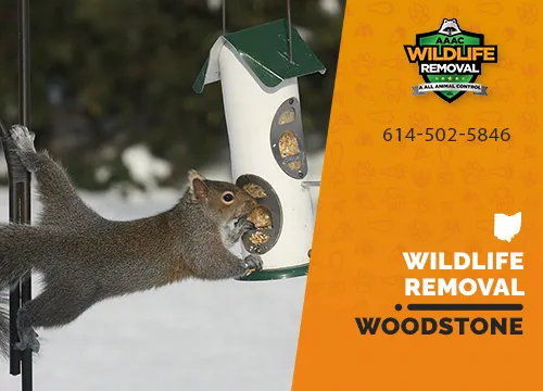 Woodstone Wildlife Removal professional removing pest animal