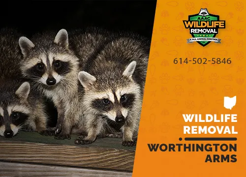 Worthington Arms Wildlife Removal professional removing pest animal