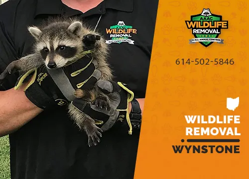 Wynstone Wildlife Removal professional removing pest animal